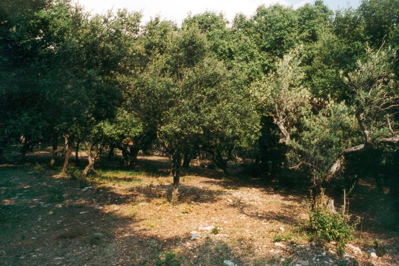 Domaine de 42 hectares en Vaucluse, entre Mont ventoux et Luberon